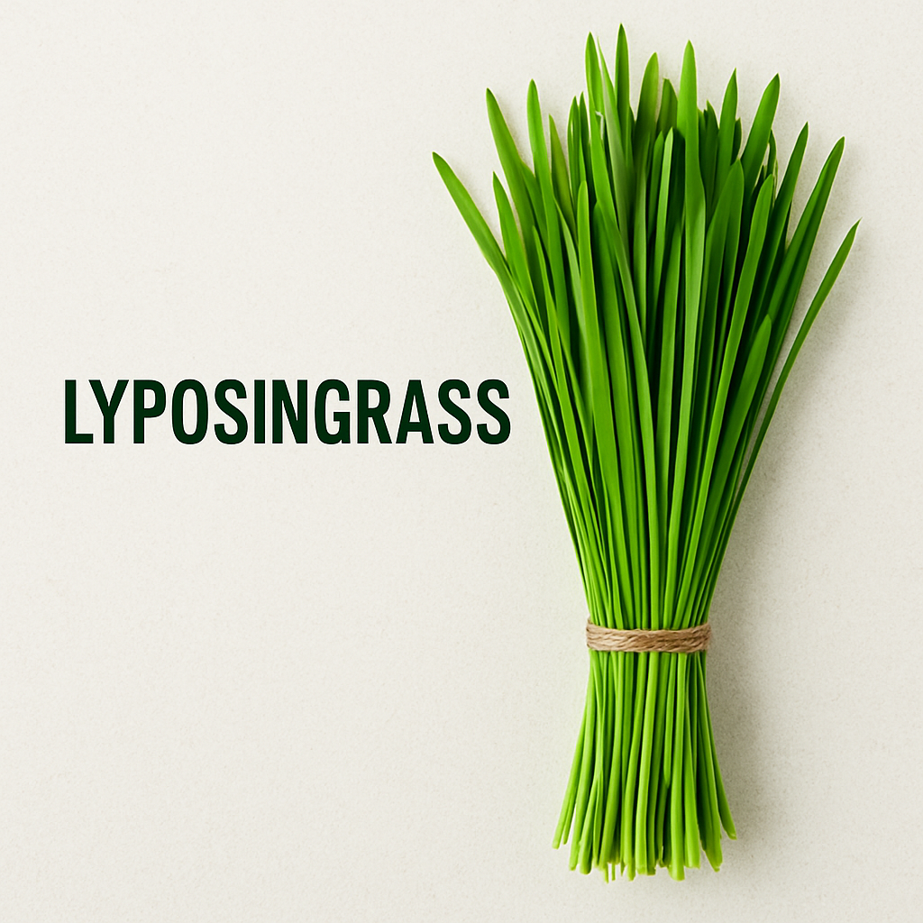 Lyposingrass: The Surprising Supergrass That’s Taking Over Wellness Trends